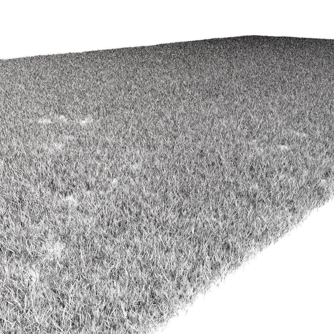lawn grass 2 3d model https://p.turbosquid.com/ts-thumb/Kr/aiiNGl/UX1jZBTr/grass_lawn_216/jpg/1479906334/1920x1080/fit_q87/6c2498891615b9aaa05e8cf2bdf3a16296a95726/grass_lawn_216.jpg