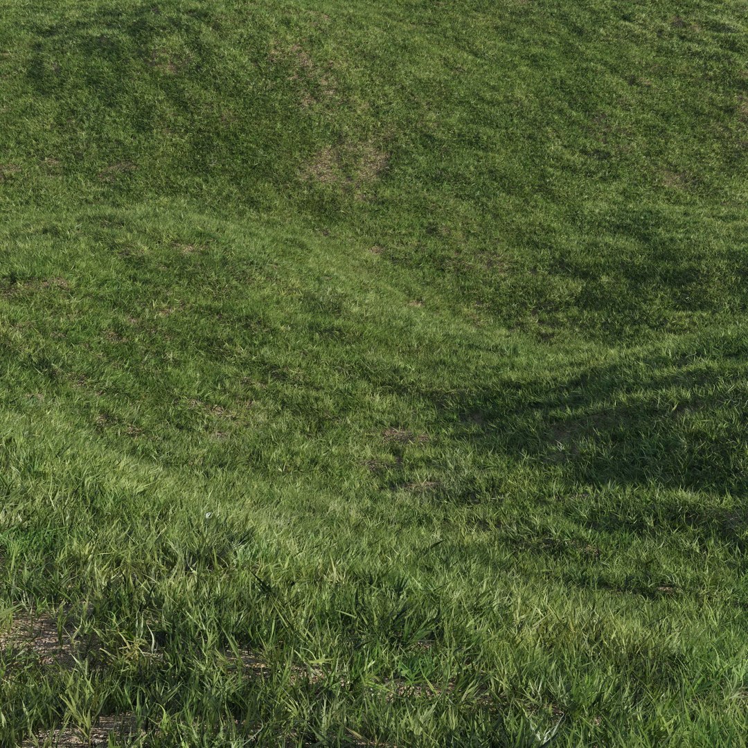 lawn grass 2 3d model https://p.turbosquid.com/ts-thumb/Kr/aiiNGl/WXId3hoZ/grass_lawn_211/jpg/1479906303/1920x1080/fit_q87/434d47f646add6ed90c9907a728879dd8338c29d/grass_lawn_211.jpg