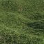 Projected Lawn Grass (+GrowFX)