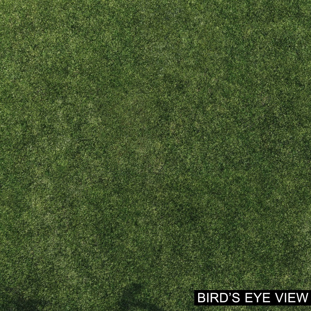 lawn grass 2 3d model https://p.turbosquid.com/ts-thumb/Kr/aiiNGl/aFkS6DEG/grass_lawn_29/jpg/1479906289/1920x1080/fit_q87/82555c94c54b9ee012983e34f1fdacf4990f9e84/grass_lawn_29.jpg