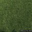 Projected Lawn Grass (+GrowFX)