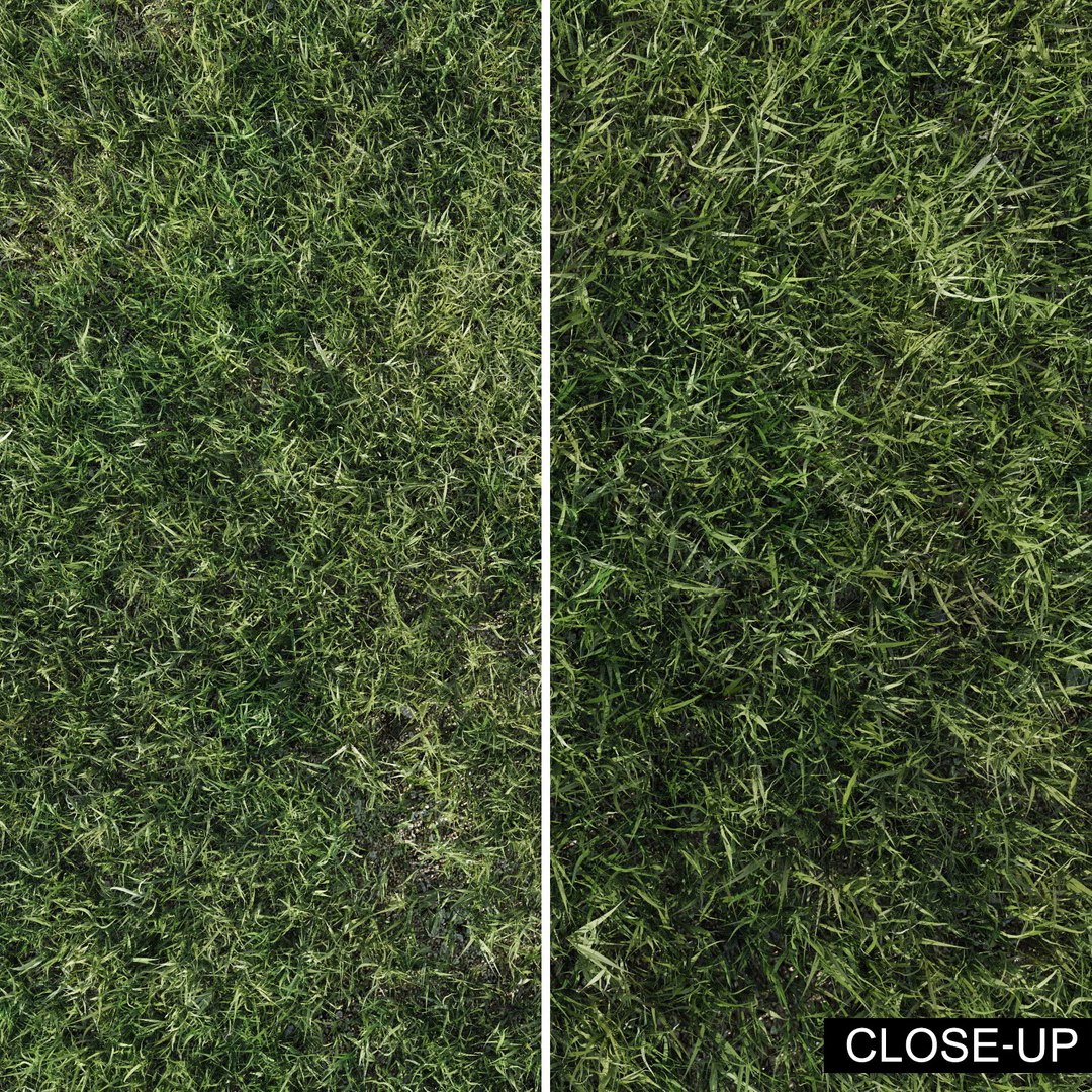 lawn grass 2 3d model https://p.turbosquid.com/ts-thumb/Kr/aiiNGl/g1uJQ5Mr/grass_lawn_28/jpg/1479906282/1920x1080/fit_q87/956cd03d0852a1c35782185cc8d3db1836cd444e/grass_lawn_28.jpg
