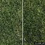 Projected Lawn Grass (+GrowFX)