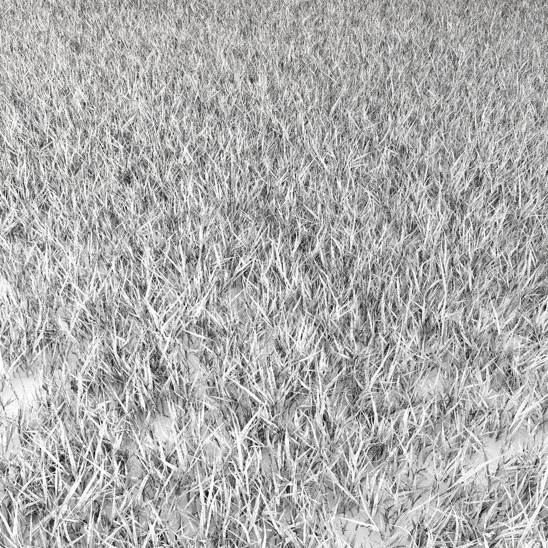 lawn grass 2 3d model https://p.turbosquid.com/ts-thumb/Kr/aiiNGl/nLrkbf3G/grass_lawn_217/jpg/1479906345/1920x1080/fit_q87/cf5f767ff1110317fc6e6433bf91fb0d960b3b3c/grass_lawn_217.jpg