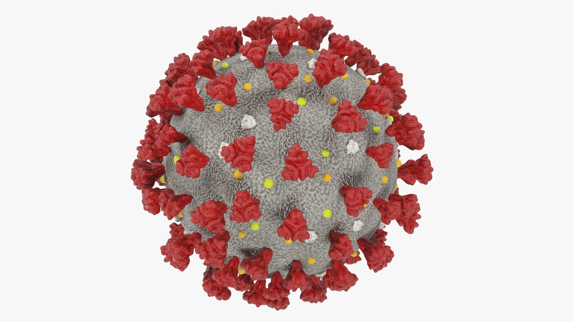 3D medical stuff coronavirus model https://p.turbosquid.com/ts-thumb/Kr/g5Pyf6/KhLey3kb/004_005copy/png/1590219731/1920x1080/fit_q87/babc36383f662f6d276e36b6d28576b16499defb/004_005copy.jpg