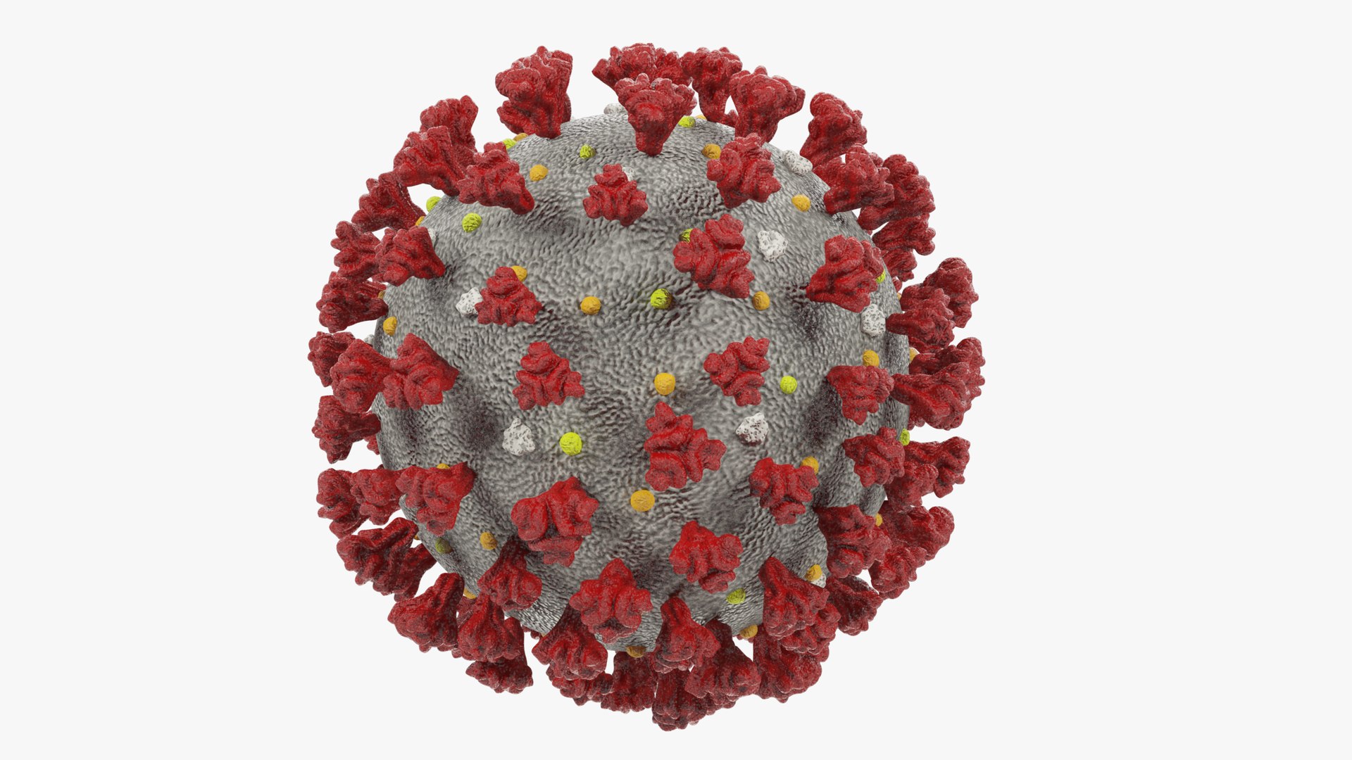 3D medical stuff coronavirus model https://p.turbosquid.com/ts-thumb/Kr/g5Pyf6/bI7qWZBn/004_001copy/png/1590219731/1920x1080/fit_q87/2c8586b3f4063e0c4623c48684a4262d29dceda2/004_001copy.jpg