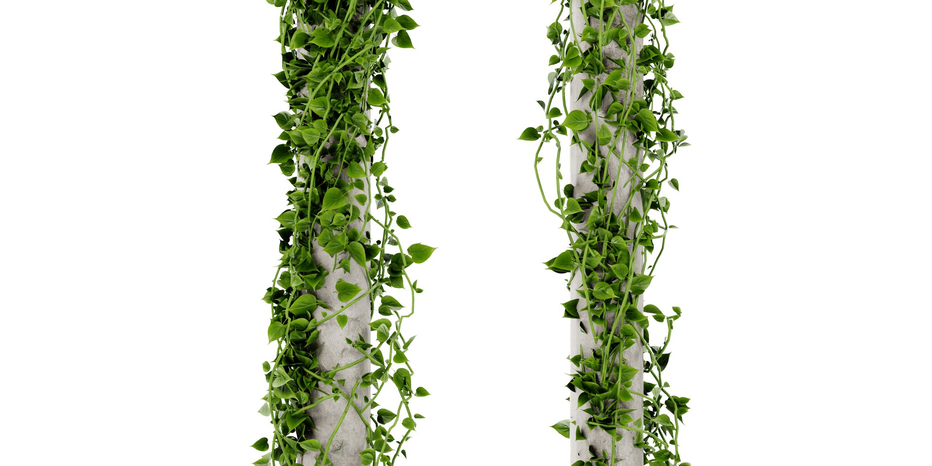 3D Collection plant vol 421 - blender model model https://p.turbosquid.com/ts-thumb/Kr/k8wYcy/Mj/5/jpg/1689511210/1920x1080/fit_q87/45cab9b383509718e6f850a322a788a613093b7f/5.jpg