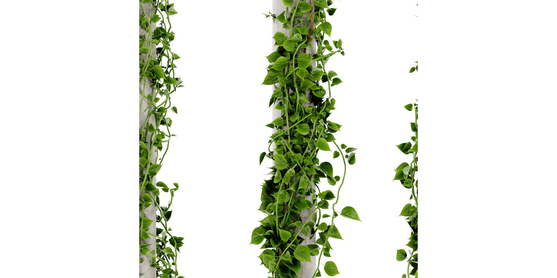 3D Collection plant vol 421 - blender model model https://p.turbosquid.com/ts-thumb/Kr/k8wYcy/WM/3/jpg/1689511210/1920x1080/fit_q87/682777be322d51f639e75bd8a66041ce7a1e567e/3.jpg