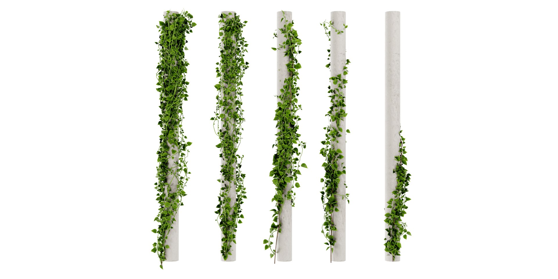 3D Collection plant vol 421 - blender model model https://p.turbosquid.com/ts-thumb/Kr/k8wYcy/Y8/2/jpg/1689511208/1920x1080/fit_q87/a173626755fcfa6e3db7e52e095d5322baf68558/2.jpg