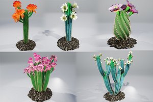 3D cactus pbr