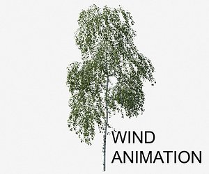 3d model tree animation betula pendula