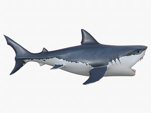 stylized shark 3D model