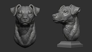 Jack Russell Terrier bust