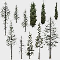 11 in 1 Cedar Trees Collection - Game Assets - Low Poly