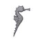 Seahorse