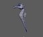 Seahorse