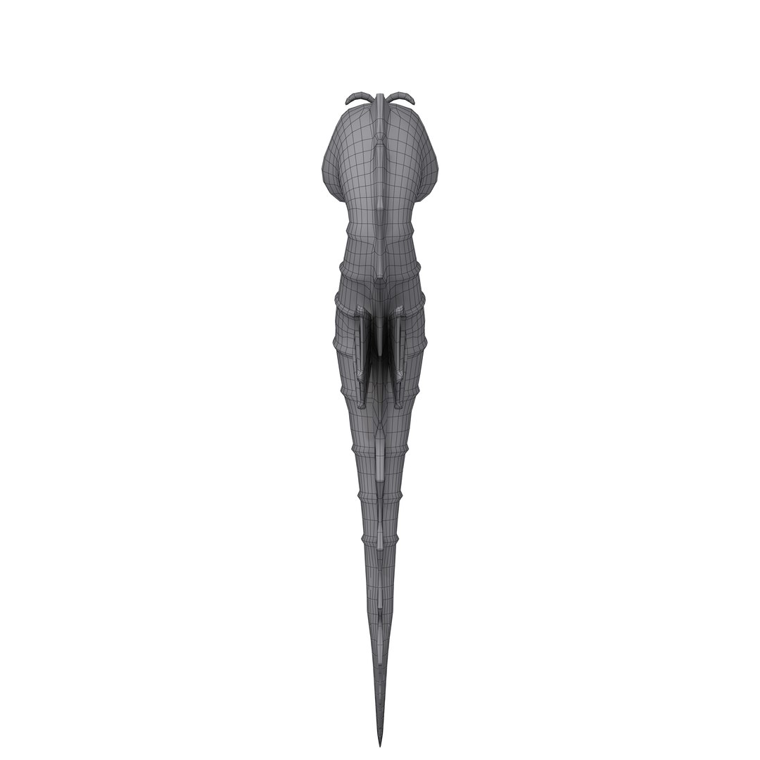 seahorse cartoon model https://p.turbosquid.com/ts-thumb/Ks/6REql7/Buo61Ekx/10/jpg/1578563306/1920x1080/fit_q87/65c76d6057856788895b0bedd599fd0eaa55dc06/10.jpg