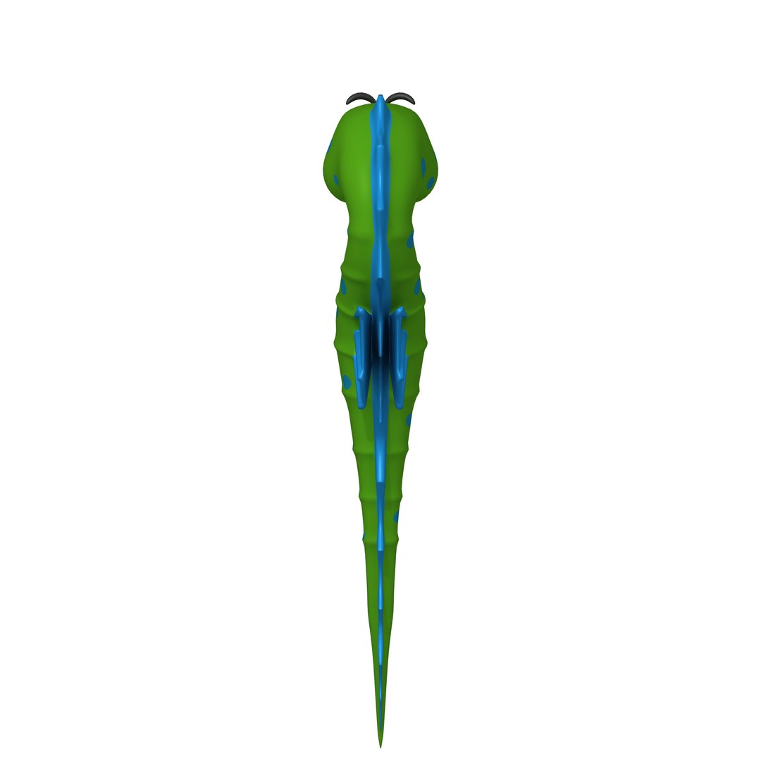 seahorse cartoon model https://p.turbosquid.com/ts-thumb/Ks/6REql7/ZTkiy5DY/04/jpg/1578563306/1920x1080/fit_q87/708d7f60fa9f6fdf22fec95e3995a126d48f75f9/04.jpg