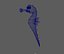 Seahorse