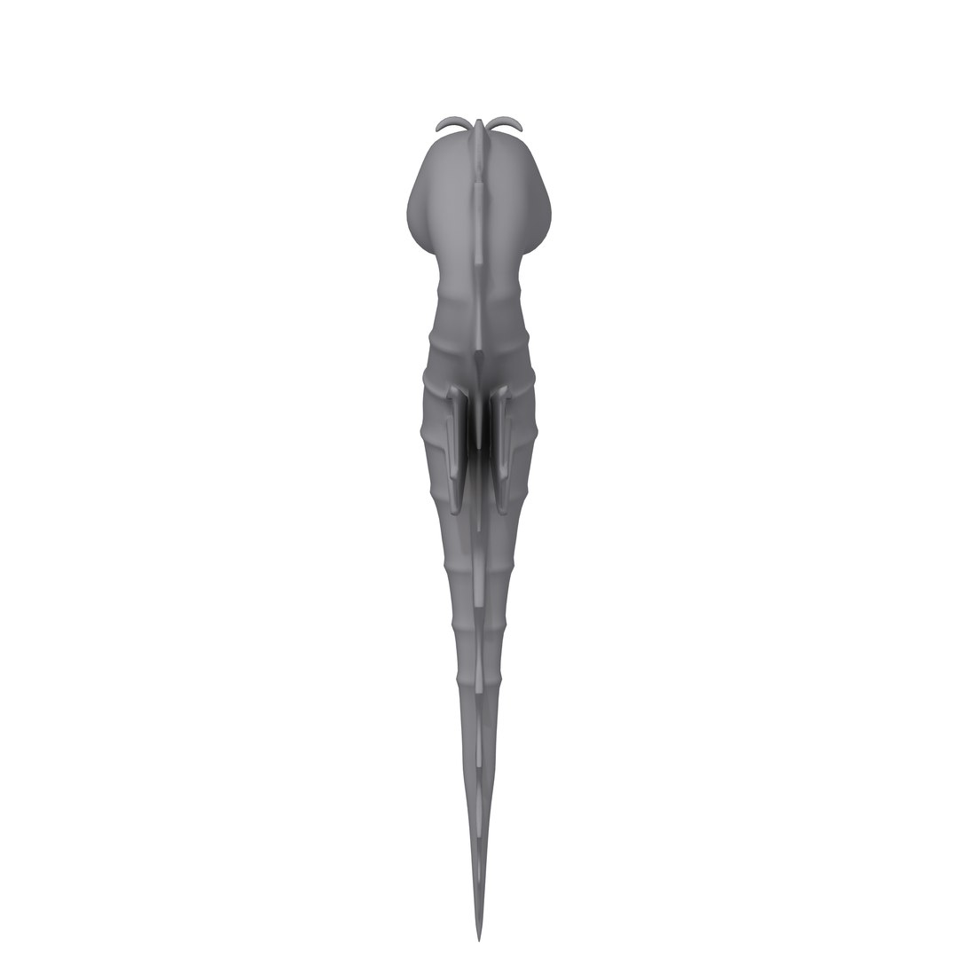 seahorse cartoon model https://p.turbosquid.com/ts-thumb/Ks/6REql7/gwtEcVGY/07/jpg/1578563306/1920x1080/fit_q87/fbb5c0a3f1f4251223622de821ec4688fc9a490f/07.jpg