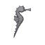 Seahorse