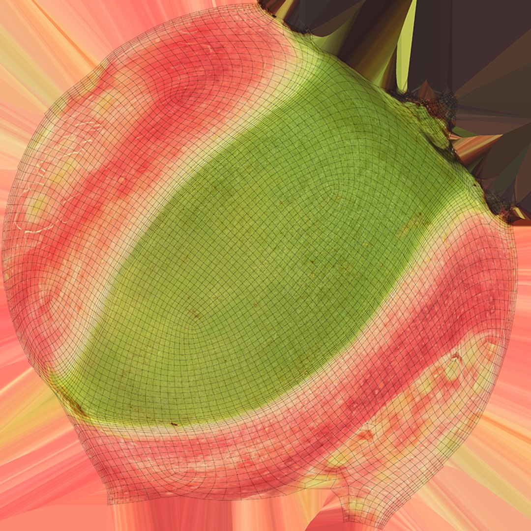 3D Pink Guava Collection 2 https://p.turbosquid.com/ts-thumb/Ks/9P3COA/uU/guavapkslice2_c0004/png/1751640340/1920x1080/fit_q87/667184f0ec2f9cd943ed72011f2f52a03722de5d/guavapkslice2_c0004.jpg