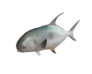 3D fish model