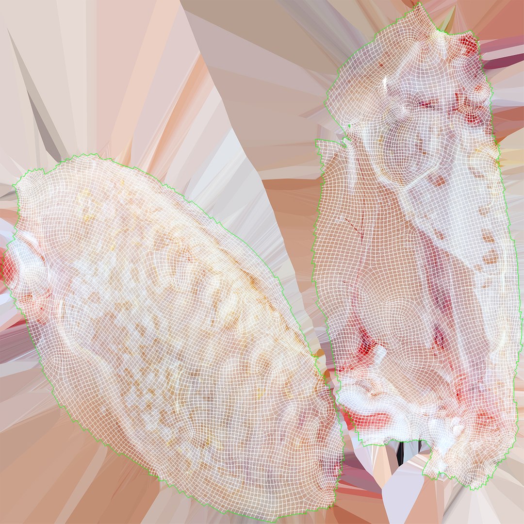 3D Chicken Wing 03 https://p.turbosquid.com/ts-thumb/Ks/Fq3oxS/4w/chicken_wing_03_uv/jpg/1654264199/1920x1080/fit_q87/f965bf5bad0dd3951a135d1051a3672a09e2d3c9/chicken_wing_03_uv.jpg