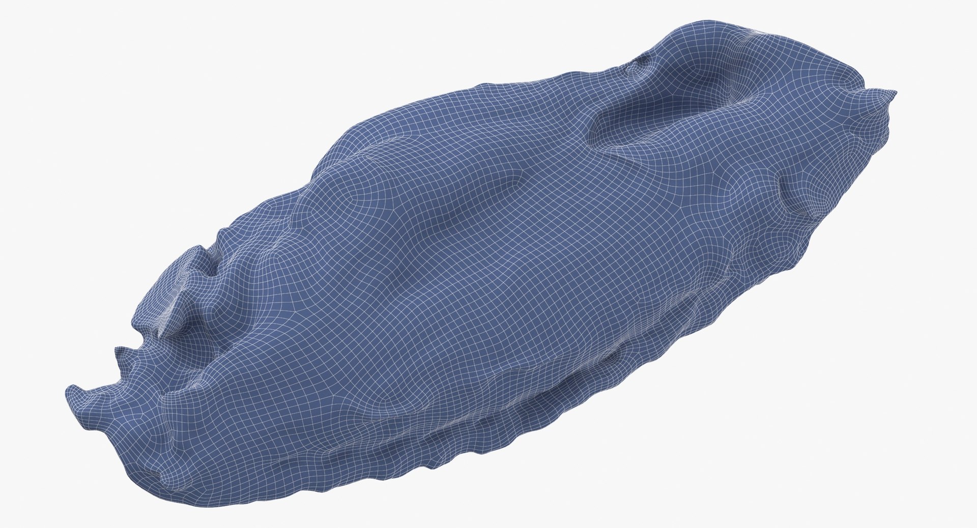 3D Chicken Wing 03 https://p.turbosquid.com/ts-thumb/Ks/Fq3oxS/8p/chicken_wing_03_wireframe_0008/jpg/1654264193/1920x1080/fit_q87/7178890b3e74bee5c95d477d9c147d1f51a5195e/chicken_wing_03_wireframe_0008.jpg