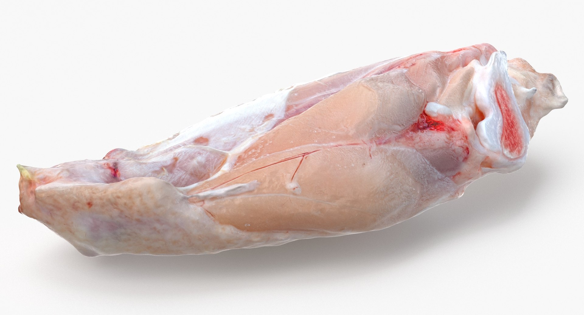 3D Chicken Wing 03 https://p.turbosquid.com/ts-thumb/Ks/Fq3oxS/KW/chicken_wing_03_thumbnail_0003/jpg/1654264190/1920x1080/fit_q87/f7fcc6ce4cada172ce2dfab8d236076ab252d30b/chicken_wing_03_thumbnail_0003.jpg