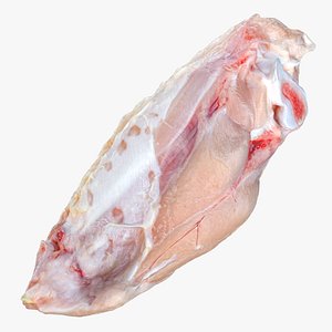 Chicken Wing 03