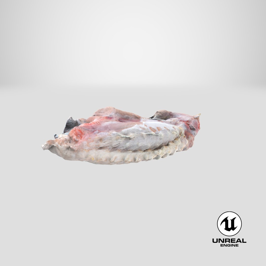 3D Chicken Wing 03 https://p.turbosquid.com/ts-thumb/Ks/Fq3oxS/Z4/stemcell_unreal_render/png/1655462874/1920x1080/fit_q87/004e91e4ac7d634e652ffd20dc5435fef49b5cbd/stemcell_unreal_render.jpg