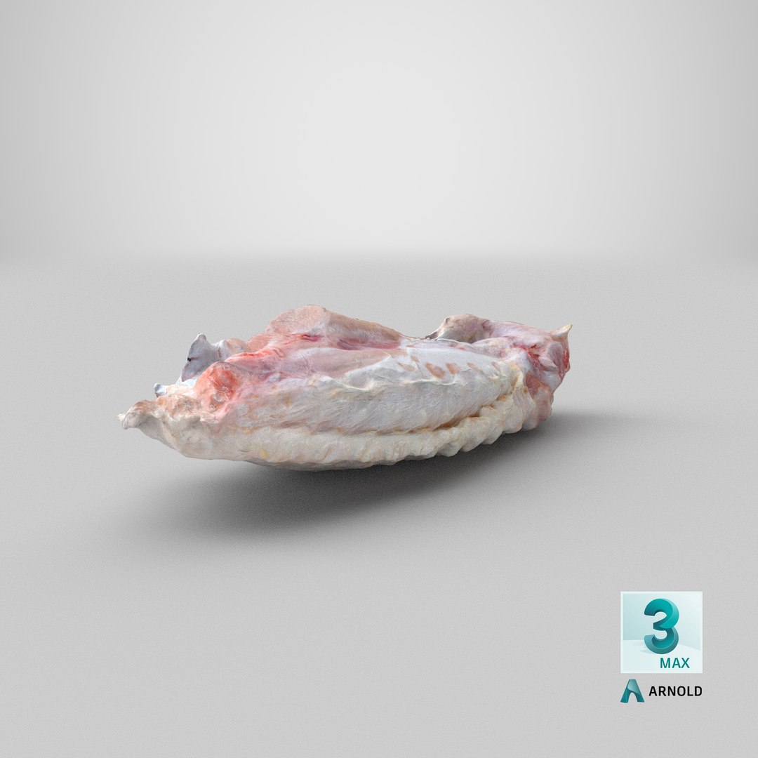 3D Chicken Wing 03 https://p.turbosquid.com/ts-thumb/Ks/Fq3oxS/fq/stemcell_max_arnold_render/png/1655462875/1920x1080/fit_q87/a6d45e4611bb3282854538d5f09c692d2fd1d1c6/stemcell_max_arnold_render.jpg