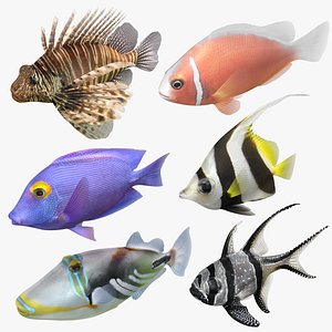 Saltwater Fish Rigged Collection 2