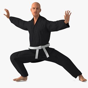 Martial Arts Practitioner In Karate Gi Rigged for Cinema 4D