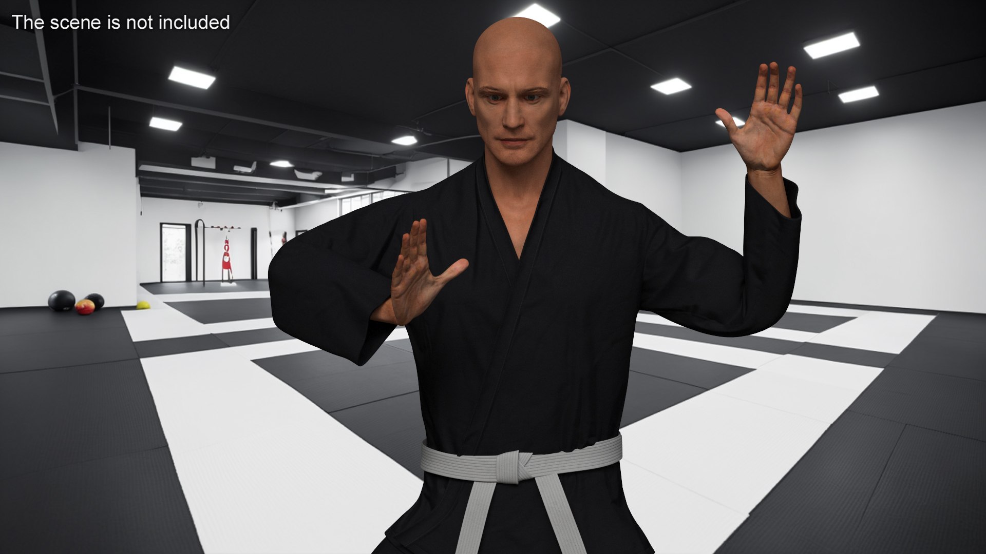 Martial Arts Practitioner In Karate Gi Rigged for Cinema 4D 3D model https://p.turbosquid.com/ts-thumb/Ks/ef8O3l/Fk/martial_arts_practitioner_in_karate_gi_rigged_003/jpg/1750132452/1920x1080/fit_q87/2aeb510ce72c4398ee47f8488299e5b5bc54f7a4/martial_arts_practitioner_in_karate_gi_rigged_003.jpg
