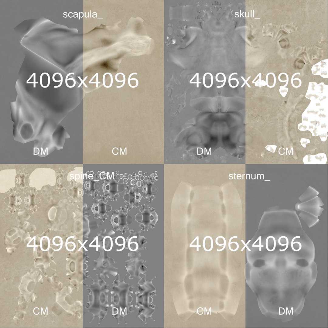 3D male skin skeleton nerves model - TurboSquid 1374701