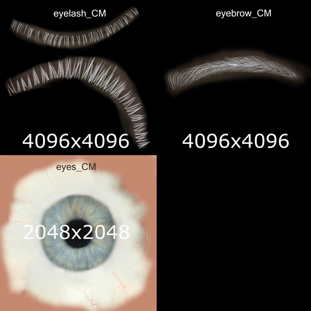 3D male skin skeleton nerves model - TurboSquid 1374701