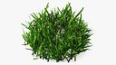 Grass Patch