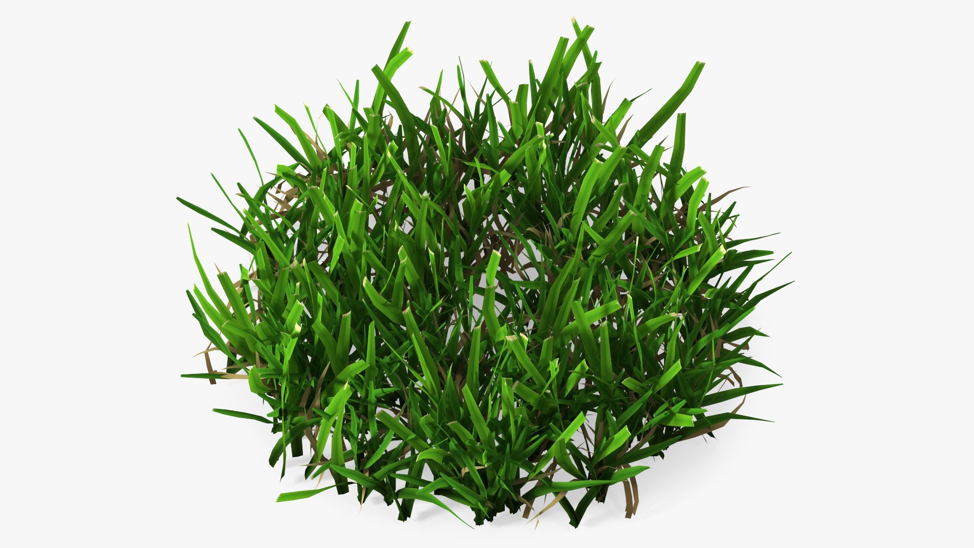3D Grass Clumps Collection model https://p.turbosquid.com/ts-thumb/Ks/l9BzEX/0n/grasspatch3dmodel001/jpg/1789077824/1920x1080/fit_q87/45fc530ecfdc657f0868b356458d7539e5055084/grasspatch3dmodel001.jpg