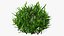 Collection de touffes d'herbe