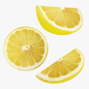 Lemon slice collection 3D model