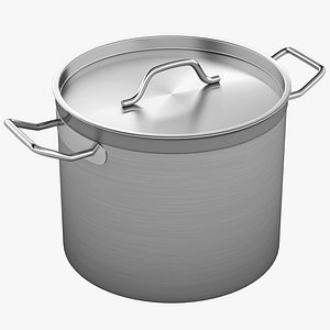 Professional Stainless Steel Pot