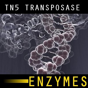3d model of enzyme transposase tn5