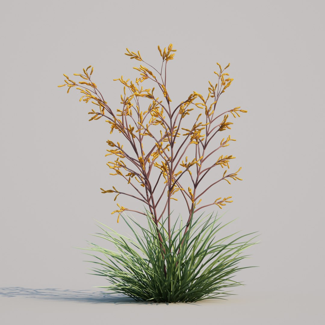 3D kangaroo paw anigozanthos https://p.turbosquid.com/ts-thumb/Ks/vl1cgH/5S7vlOhw/kangaroopawsanigoznthosharmony_001/jpg/1595290119/1920x1080/fit_q87/ea6cbbcbb71d66acc61b0f6019547cc29510254a/kangaroopawsanigoznthosharmony_001.jpg
