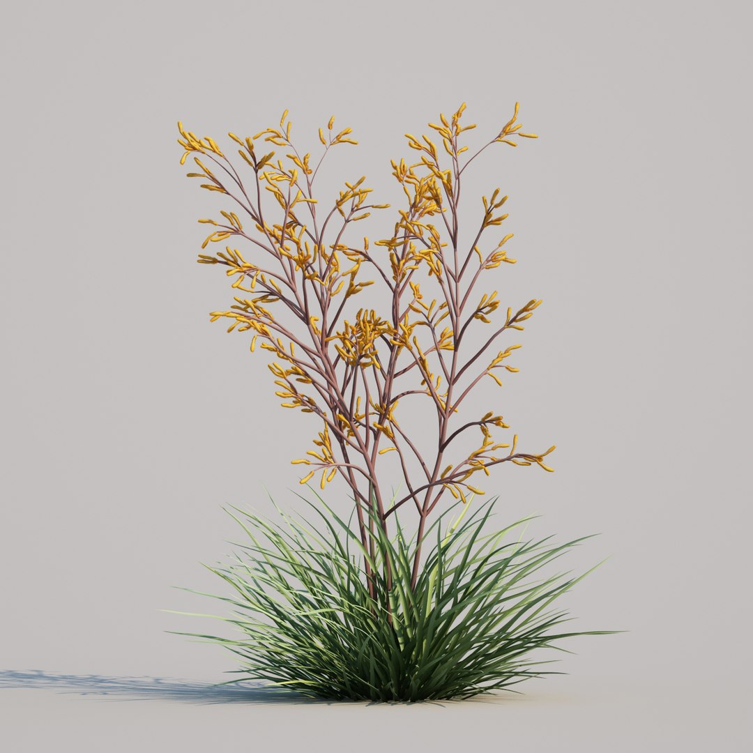 3D kangaroo paw anigozanthos https://p.turbosquid.com/ts-thumb/Ks/vl1cgH/TbLu03eD/kangaroopawsanigoznthosharmony_004/jpg/1595290168/1920x1080/fit_q87/81852b06dd60dca379183158b8091db0dbf970f6/kangaroopawsanigoznthosharmony_004.jpg