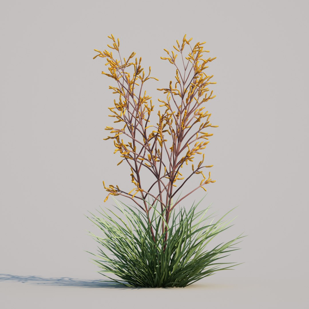 3D kangaroo paw anigozanthos https://p.turbosquid.com/ts-thumb/Ks/vl1cgH/pFGLUNaQ/kangaroopawsanigoznthosharmony_002/jpg/1595290137/1920x1080/fit_q87/c0149b7a26fe3af5ae31f43ad2c958acf7d84962/kangaroopawsanigoznthosharmony_002.jpg