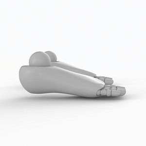 3D Mannequin feet model