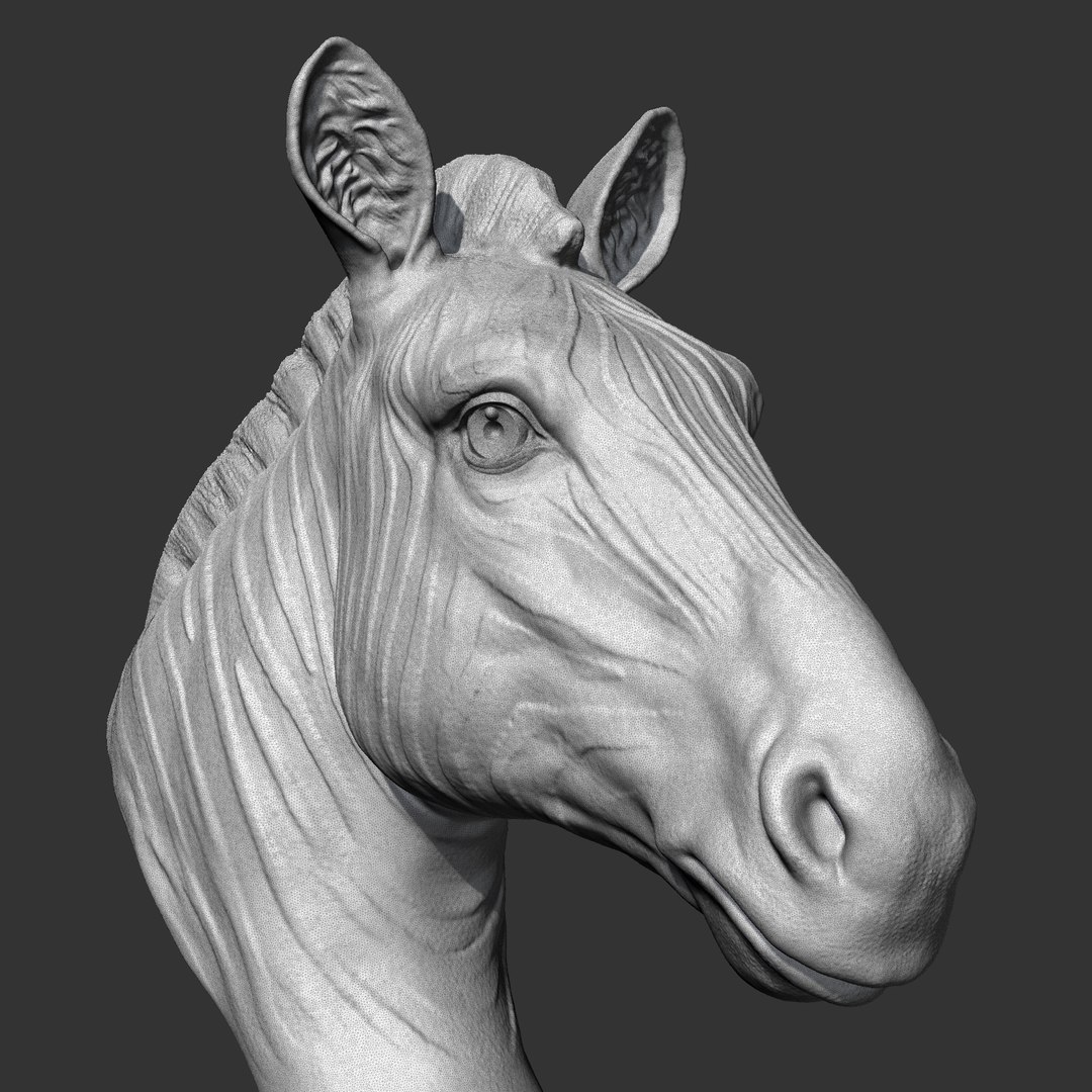 Zebra Head AM19 3D Print Model 3D - TurboSquid 2081943