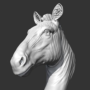 Zebra Head AM19 3D print model 3D